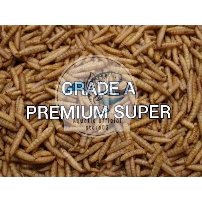 Maggot kering grade A premium super 500 gram / maggot 1/2 kg / maggot kering / pakan ikan predator /