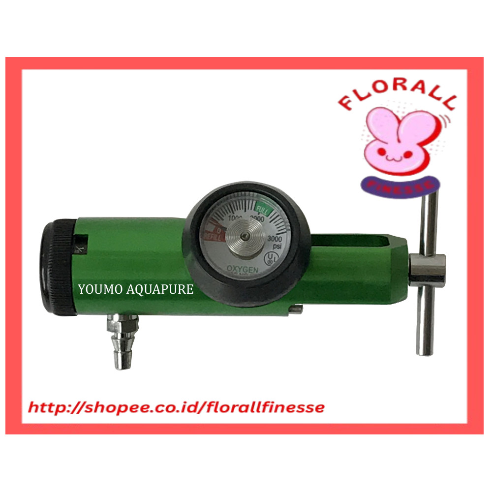 Brazil CGA540 America CGA870 0-4 LPM Oxygen Tank Flow Meter O2 Regulator for Medical Ozone Generator