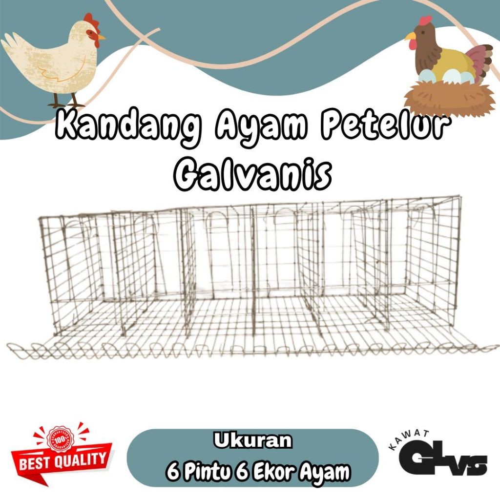 Kandang ayam petelur 6 pintu / kandang baterai 6 pintu / kandang ayam / kandang ayam galvanis
