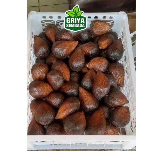 

Indukbuah Buah Salak Pondoh Manis 1 Keranjang 7kg Griya Sembada