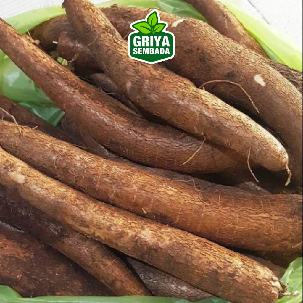 

Singkong Kuning Dari Elfath Mart (1 Kg) Asli Lereng Muria