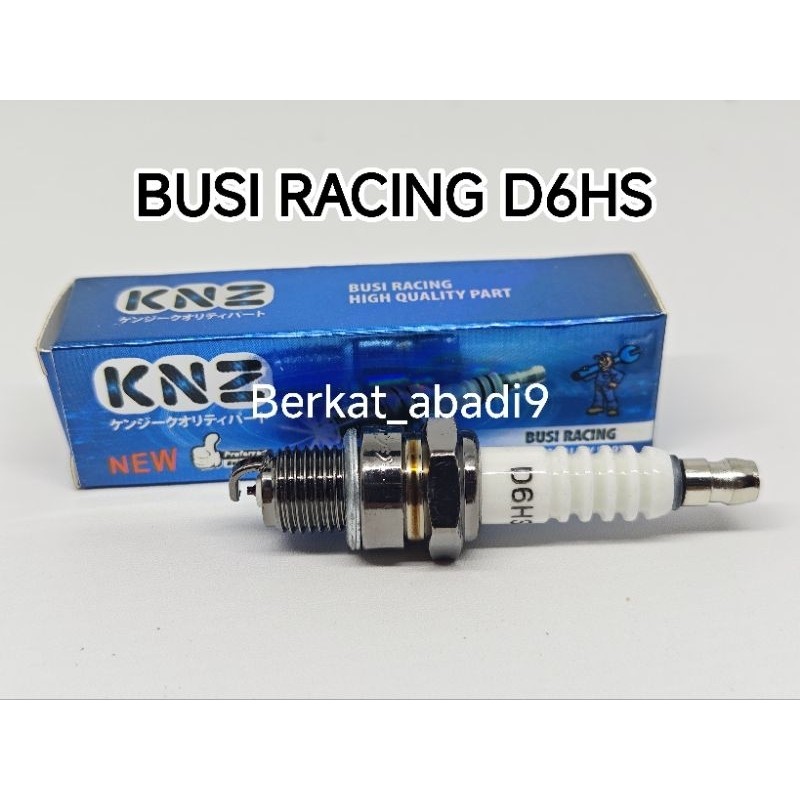 Busi Racing D6HS