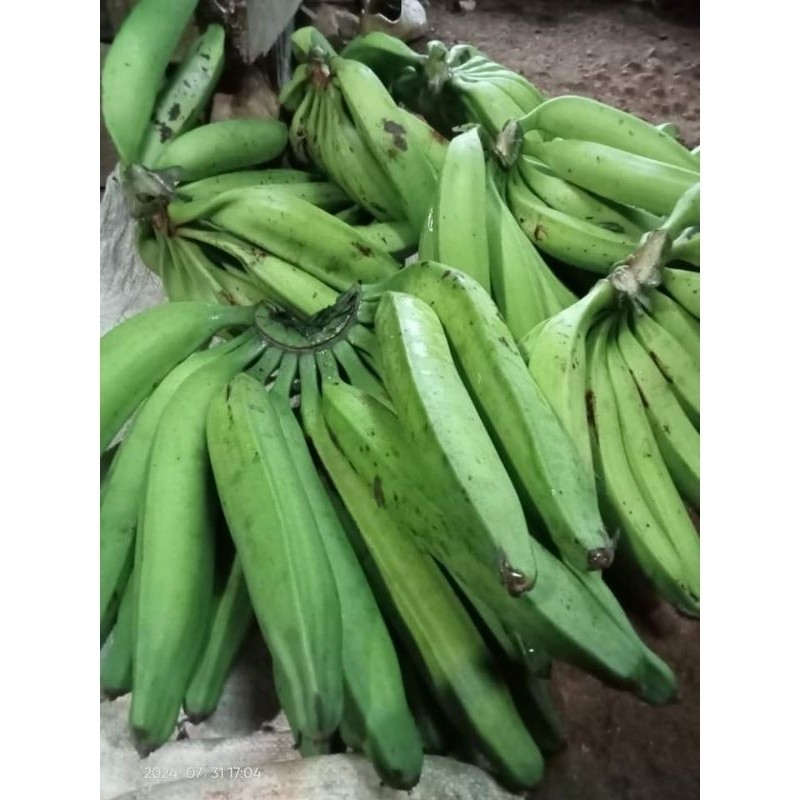 

New buah pisang janeng 1kg pisang ungul