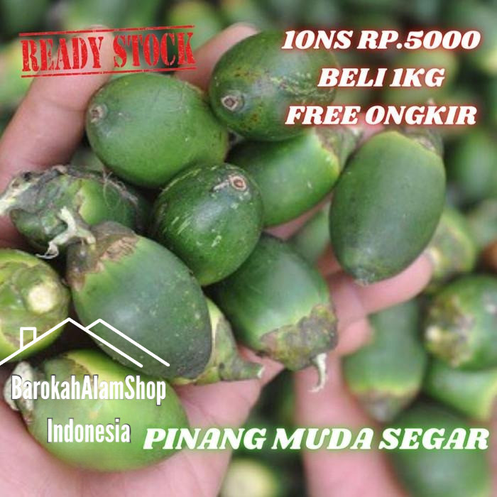 

Buah Pinang Muda Segar 1 Kg Jambe Nome Untuk durasi lebih lama