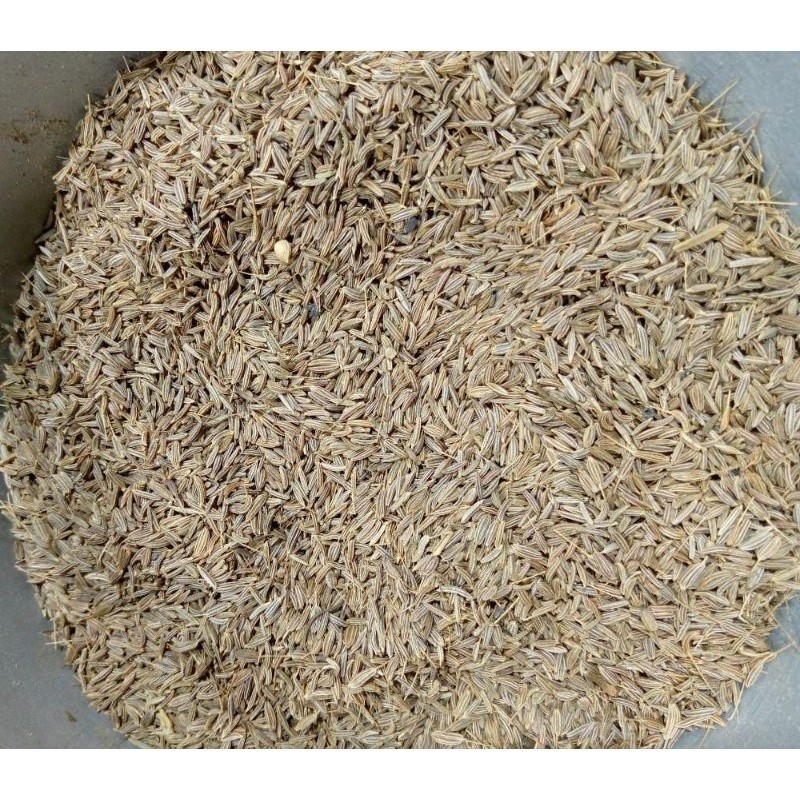 

JINTAN PUTIH KERING 1 KG