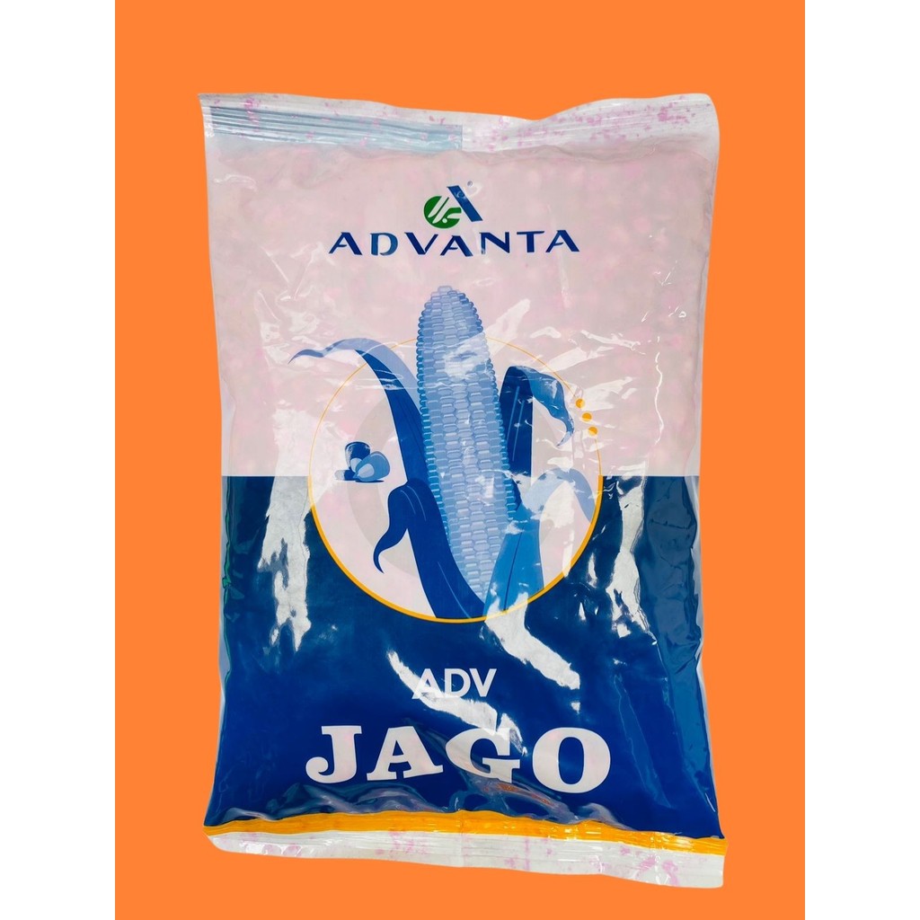 Benih Jagung hibrida ADV JAGO isi 1kg dari ADVANTA MK