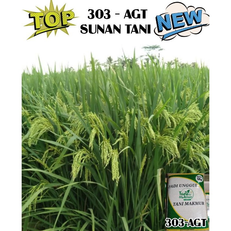 BENIH PADI 303 AGT 5KG BARU ORIGINAL