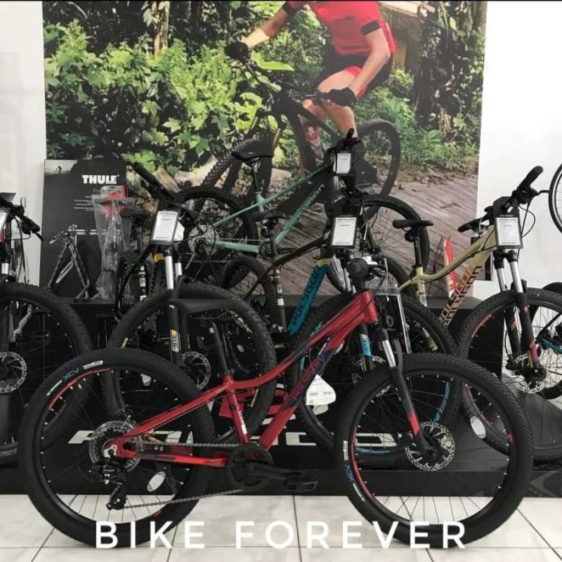 PROMO- SEPEDAUNG MTB POLYGON RELIC 24INCH