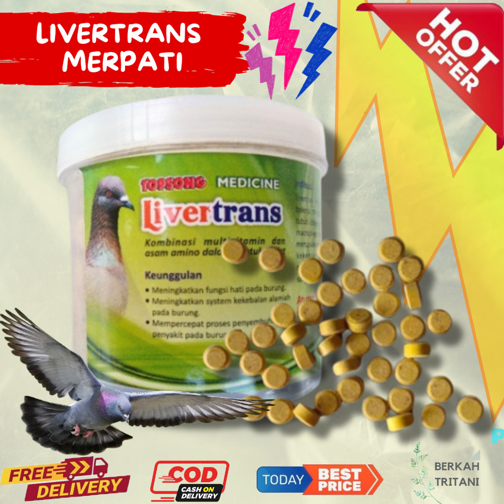 LIVERTRANS TOPSONG 1 Butir Multivitamin merpati per 1 butir liver trans