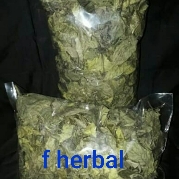 daun keji beling kering/ pecah beling / KEJI BELING