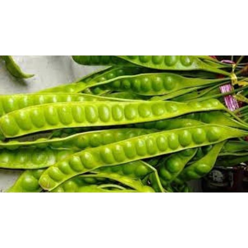 

Petai - Pete 100gr