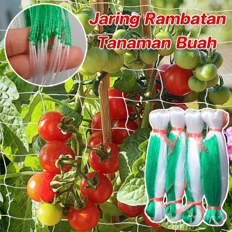 2m×100m Jaring Rambatan Tanaman Buah Lanjaran Tanaman Merambat Jaring Pagar Ayam Kebun Tanpa Tali Fr
