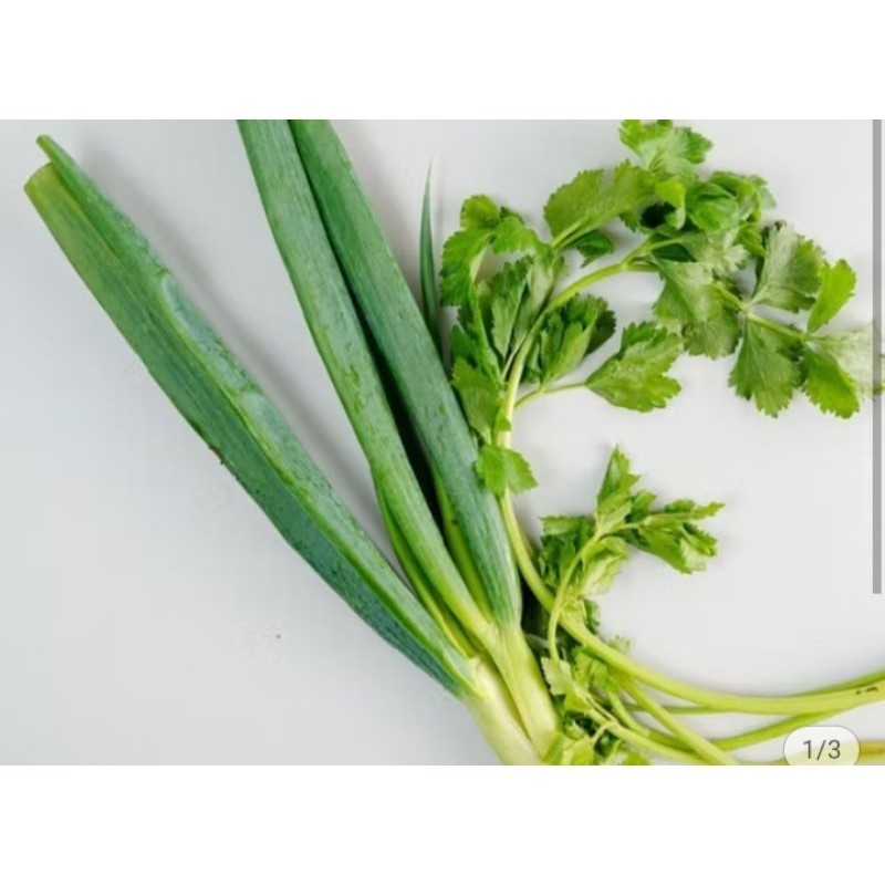 

Daun Bawang dan Saledri Konvensional 150 gram