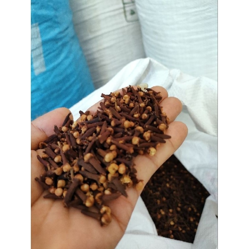 

Terlaris Cengkeh Kering Premium 1kg Bersih Dan Wangi