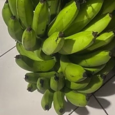 

Buah Pisang Mentah AIZA Pisang Bangkaulu Fresh