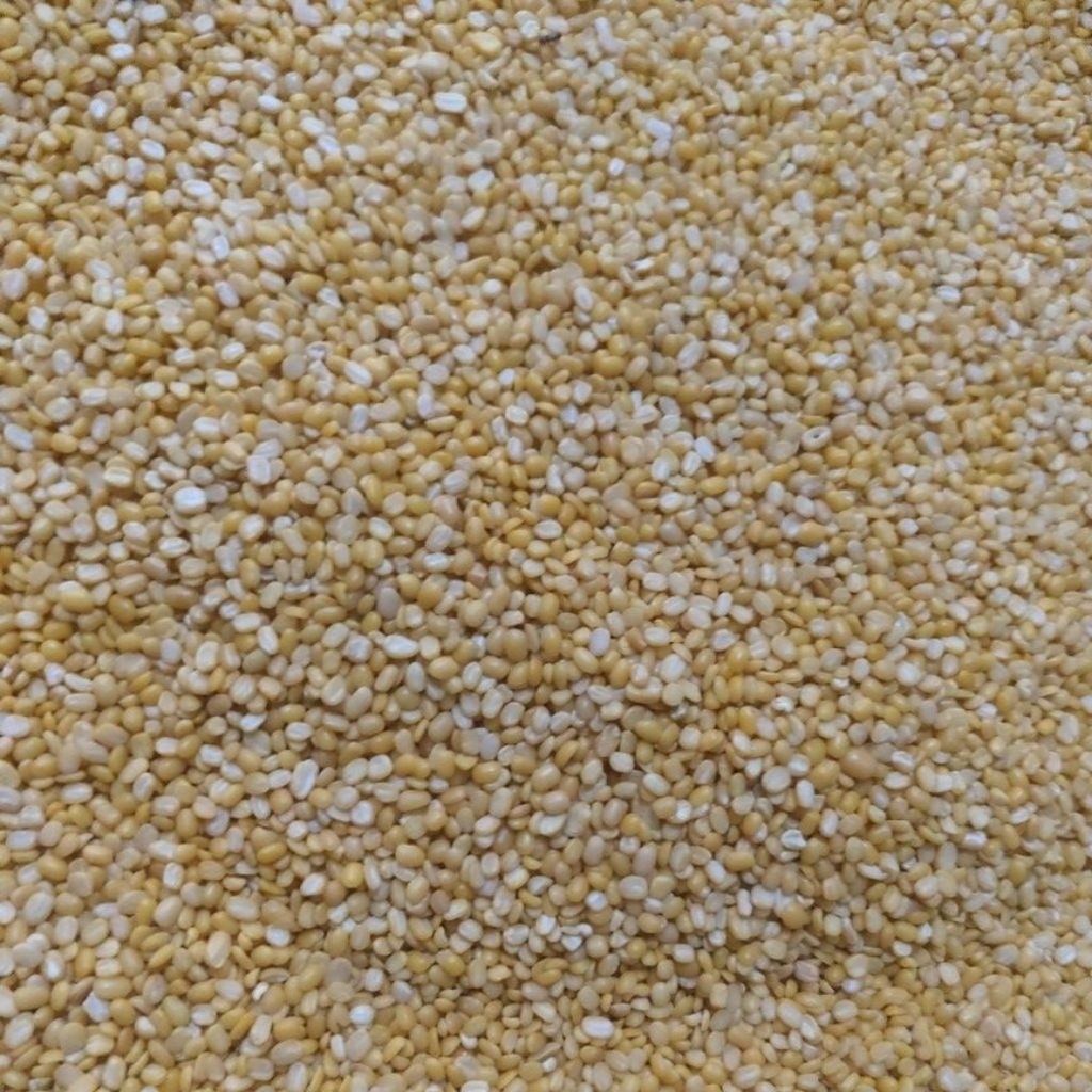 

Kacang Hijau/ijo Kupas Burma 1 karung @25 kg by Cargo