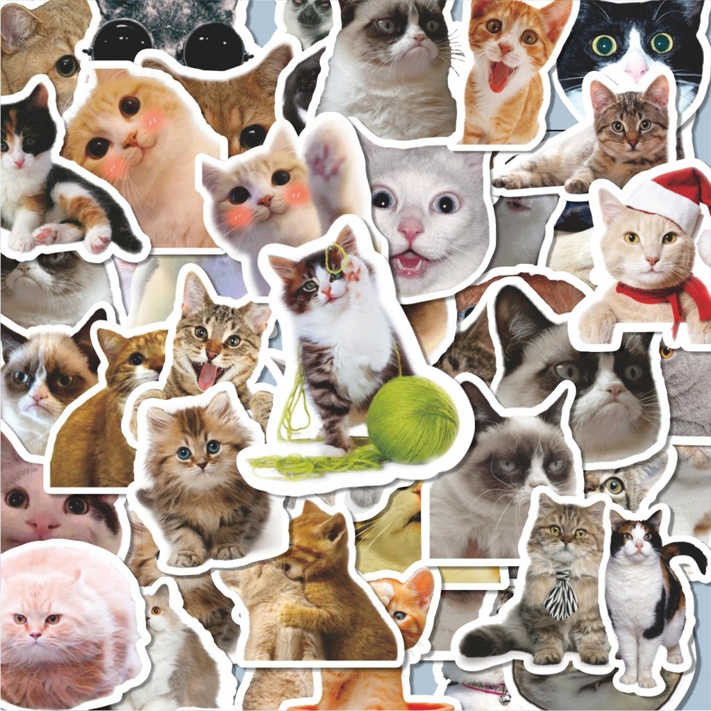 

Stiker Aesthetic Stiker Anti Air Stikers Berperekat Waterproof sticker decal buat Motor Helm Buku Journal Koper Casing HP Laptop Botol Minum Hadiah anak Stiker Cat/Kucing Kawaii V5 Dekorasi Lucu Kreatif untuk Notebook, Skateboard, HP