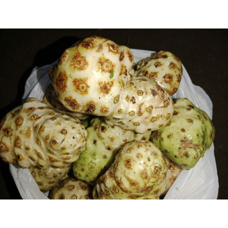 

buah mengkudu segar di petik langsung ketika ada orderan masuk banyak manfaat buat kesehatan dan banyak khasiatnya juga 1kg Herbal COD