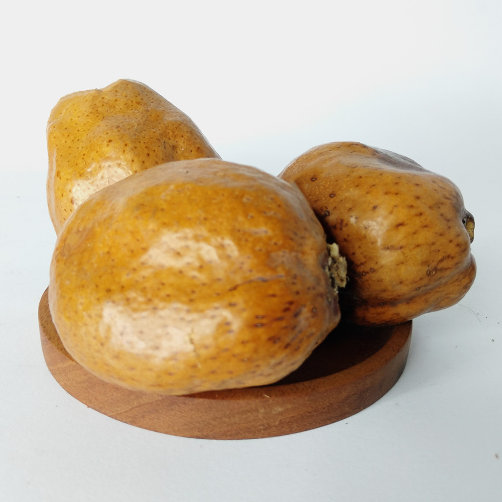 

BUAH ZURIAT MESIR ORIGINAL / BUAH DOUM / DZURIAT PROMIL 500GR DAN 1KG