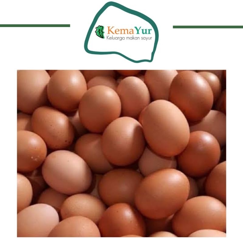 

TELUR AYAM TELOR AYAM ISI 10 DAN 6 BUTIR