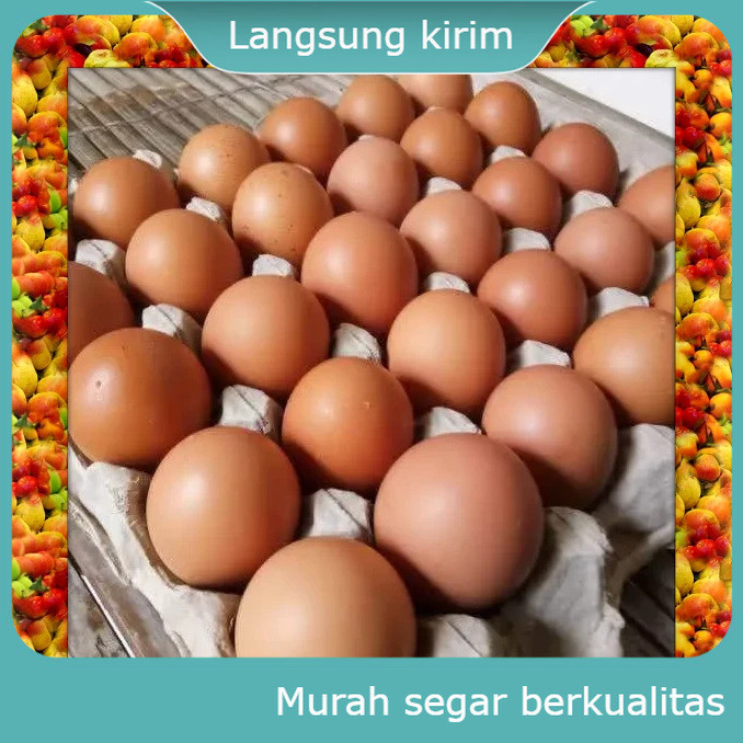 

Telur Ayam Telor Ayam Horn Horen Negeri