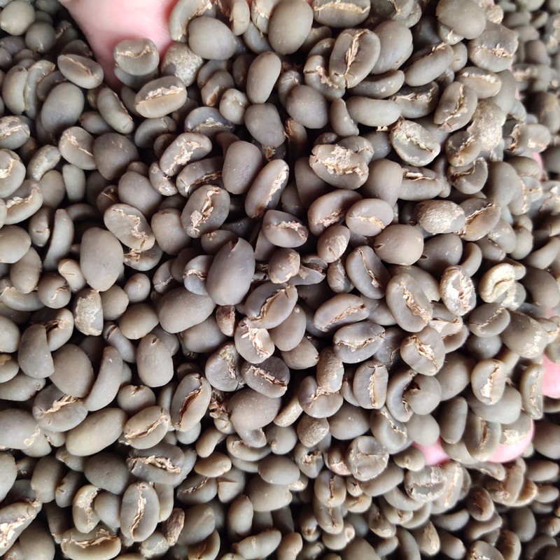 

Green Bean Arabica Gayo Semi Wash G1