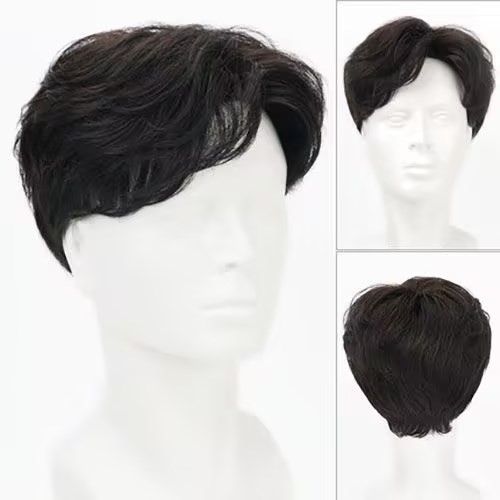 Wig Rambut Palsu Pria, Wig Rambut Pendek Tampan, Poni Penuh, Perpustakaan Pabrik