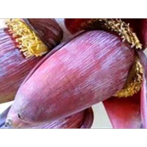 

jantung pisang kepok 15 manfaat untuk pepes jantung