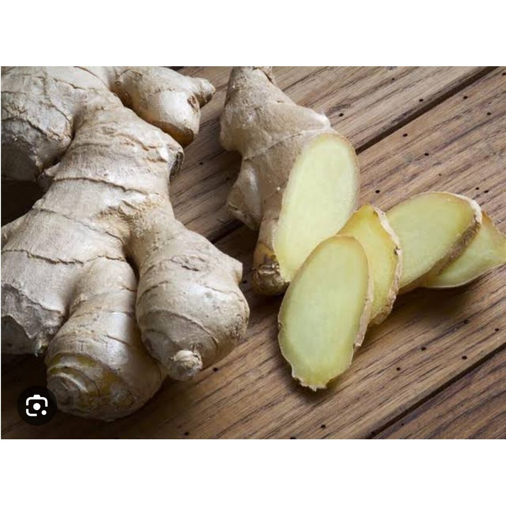 

Jahe putih segar 1 kg