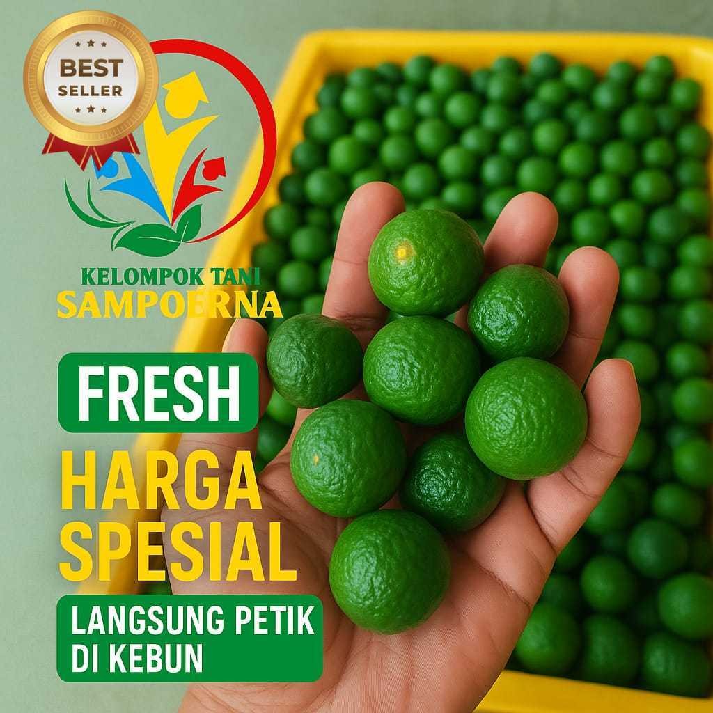 

Jeruk Limau | limo | sambal Segar Asli – Aroma Kuat, Rasa Asam Menyegarkan