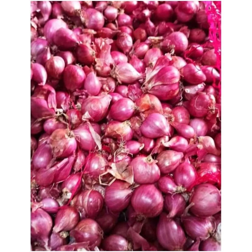 

Bawang Merah super murah 1Kg Besar Lokal Sangat Bagus