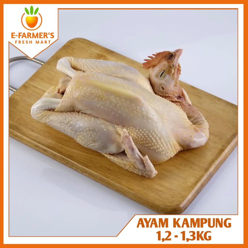 

Ayam Kampung Utuh Frozen Premium Termurah 1,2Kg - 1,3Kg (JAKBAR)