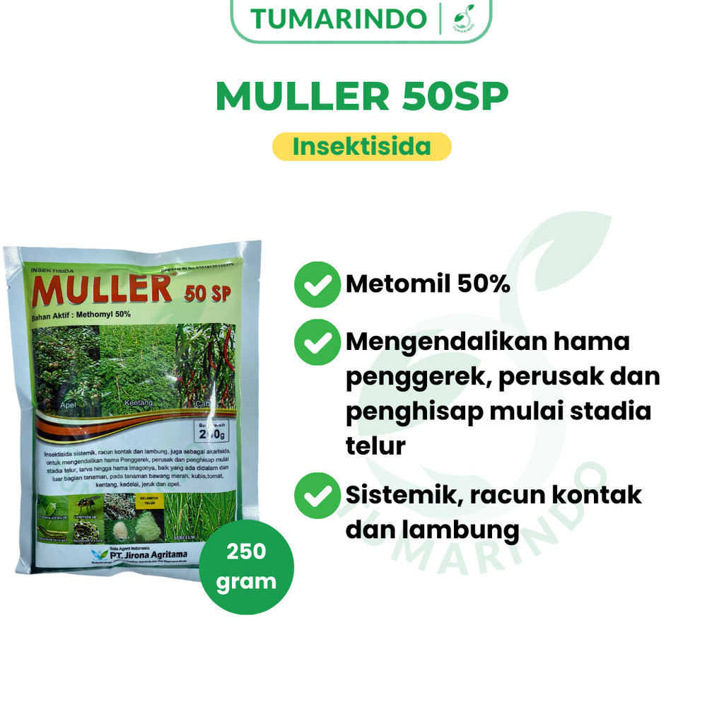 Muller 50sp 250gram Insektisida Mengendalikan Penghisap
