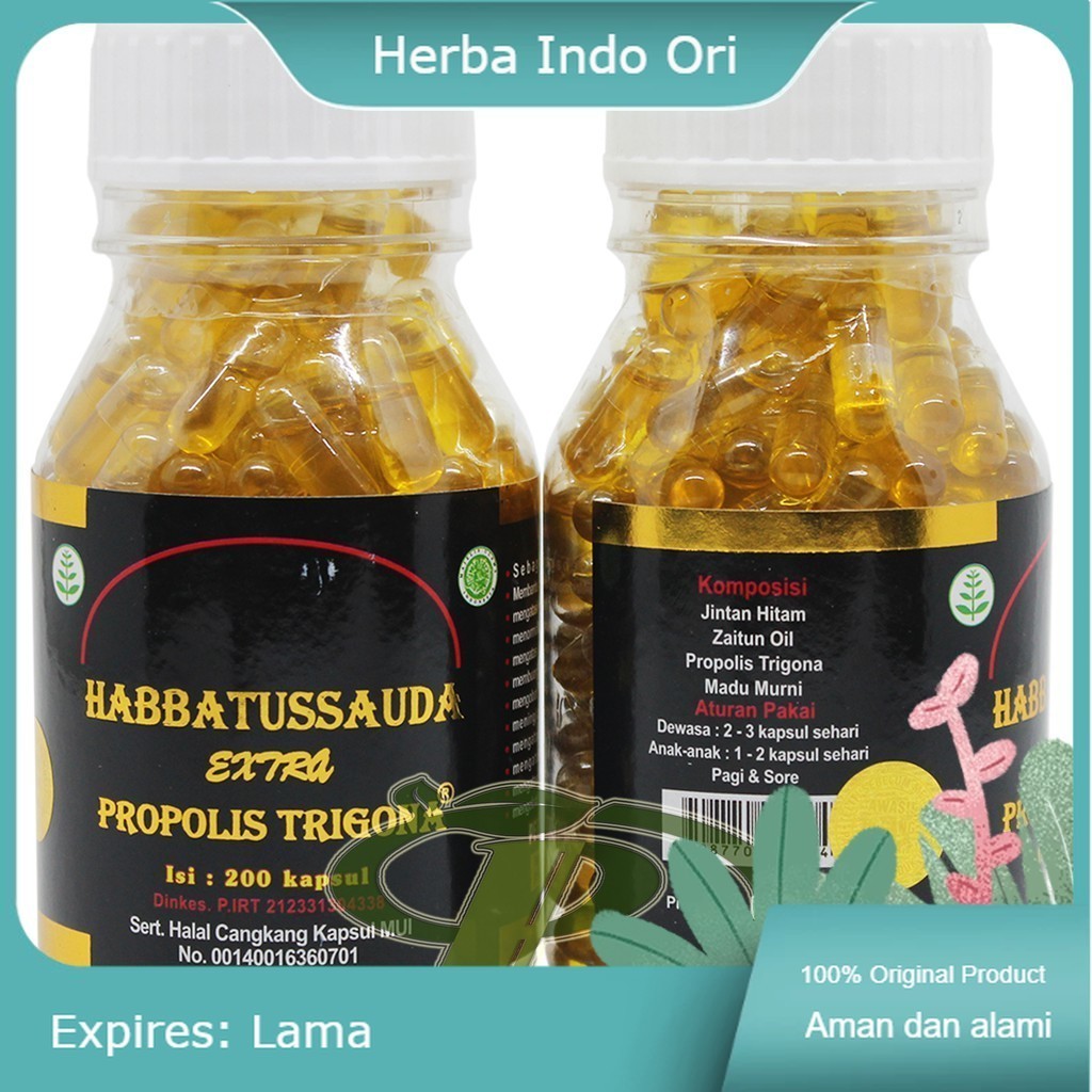 UMS 200 Habbatussauda Extra Propolis Trigona 200 Kapsul UMS | Habatussauda