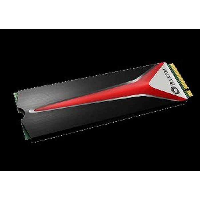 EEStore SSD PLEXTOR M2 NVME HEATSINK 256 GB