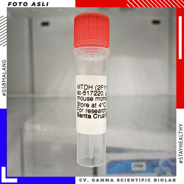 

sc-517220 | MTDH Antibody (2F11C3D4) 50 µg/0.5 ml - Santa Cruz