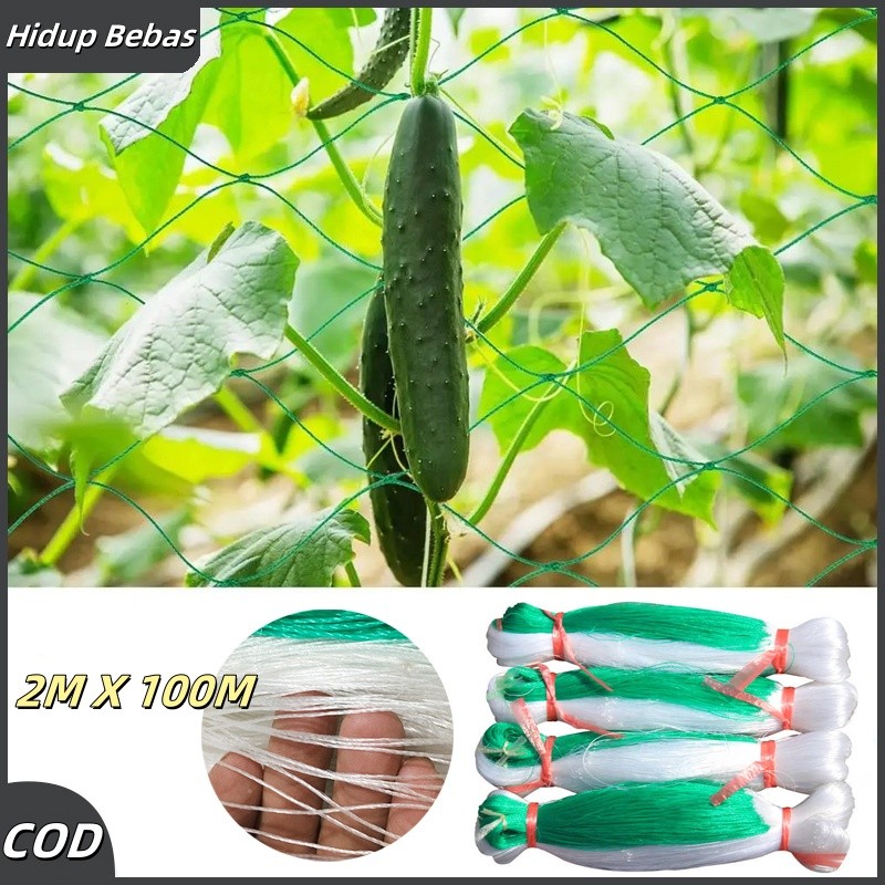 2M X 100M Jaring Tanaman Rambatan /Jaring Anggur Sayuran/Plant Climbing Net /Jaring Net Rambatan Tan