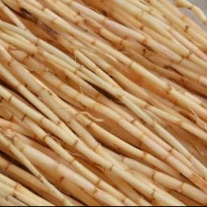 Obat Herbal Akar Alang-Alang 250 Gram - Akar Alang -Alang Fresh