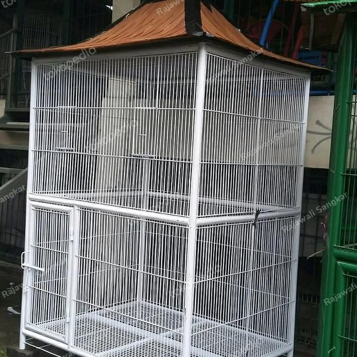 sangkar kandang ternak koloni aviary burung outdoor
