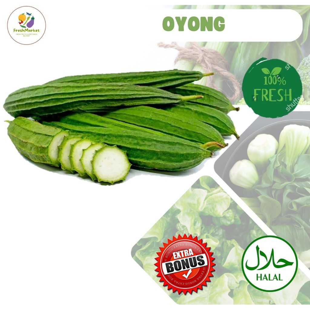 

Oyong Sayur Gambas Sayuran Segar 1 kg Sayurinstant