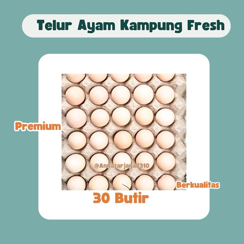 

TELUR AYAM NEGRI 30 BUTIR