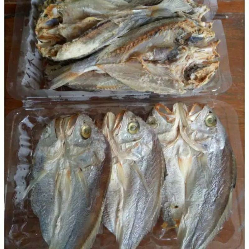 

Ikan Asin Samge / Ikan Asin Kepala Batu / Per Pcs