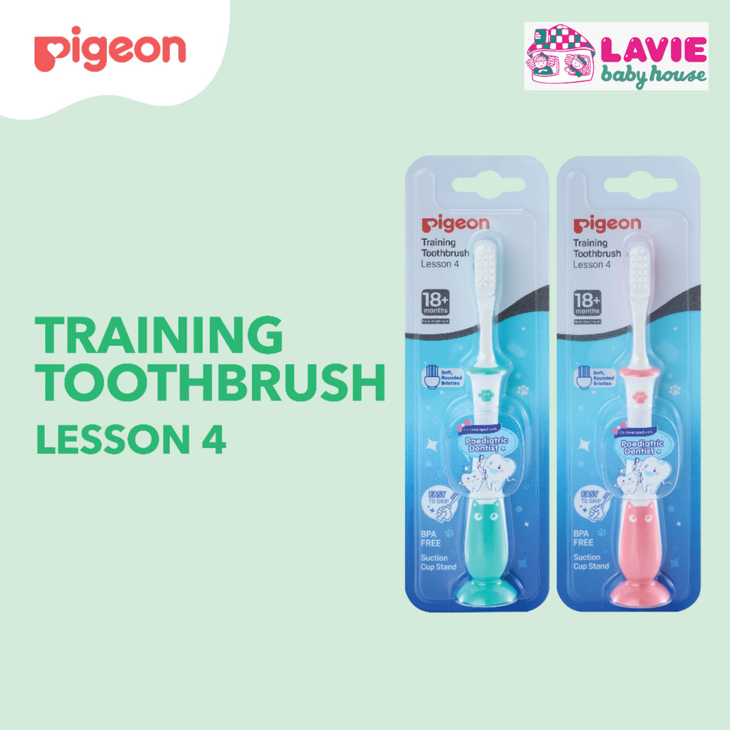 Pigeon Training Toothbrush Lesson 4