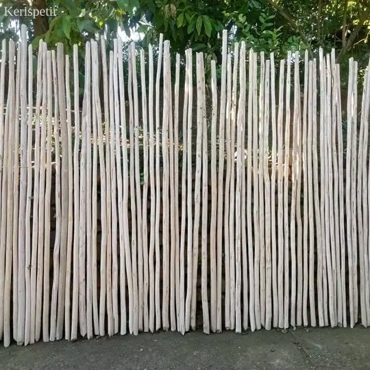 

teak wood jati branch 100-200 cm ranting kayu jati macrame craft - 100cm murah