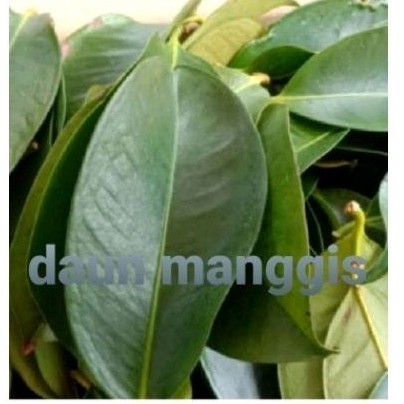 

9romo daun manggis sgar 30 pcs' daunherbal alami