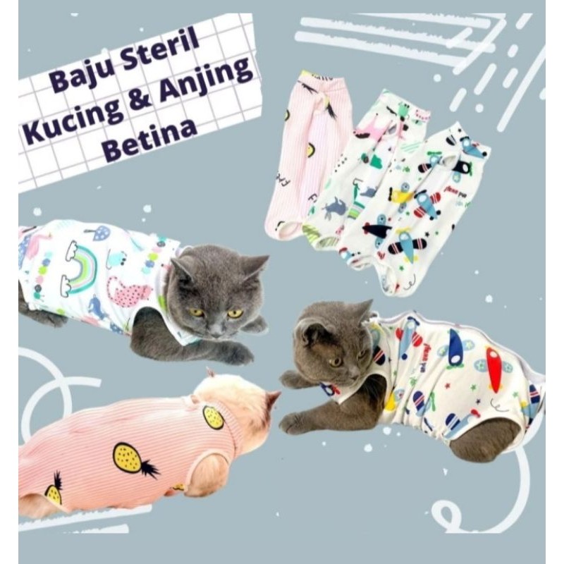 Baju Steril Anjing & Kucing Betina - Recovery Pasca Oprasi