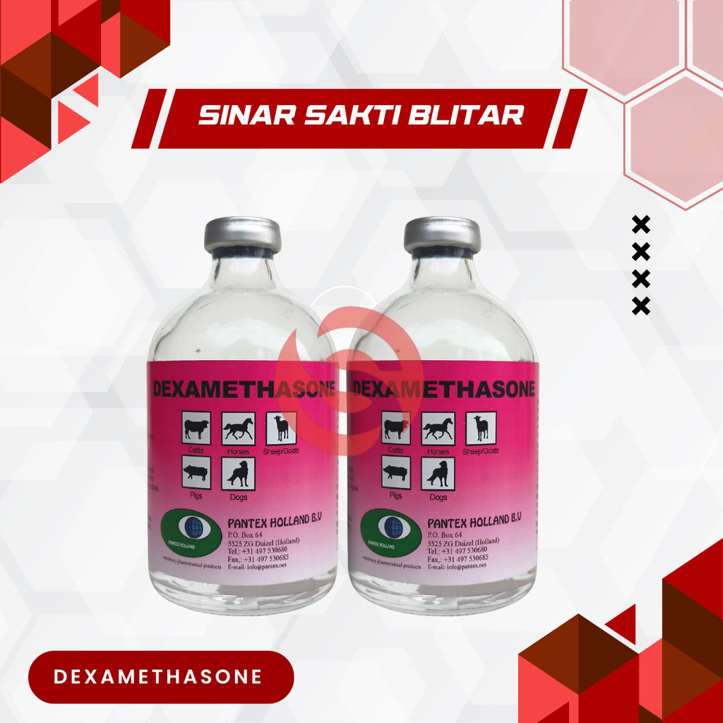 DEXAMETHASONE 100 ML PANTEX  HOLLAND - Anti Radang Untuk Sapi