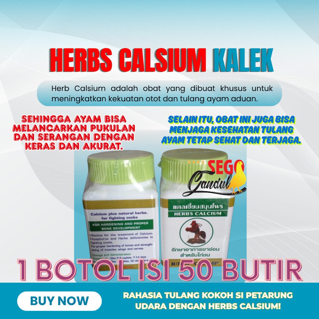 Herbs Calsium Kalek Ayam Merpati Aduan Tulang Kuat Champ 1 botol isi 50 butir