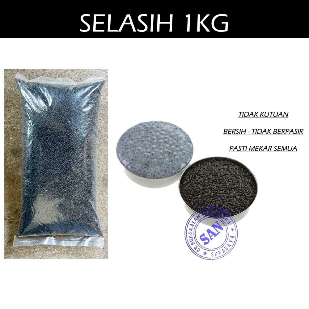 

Biji Selasih 1kg
