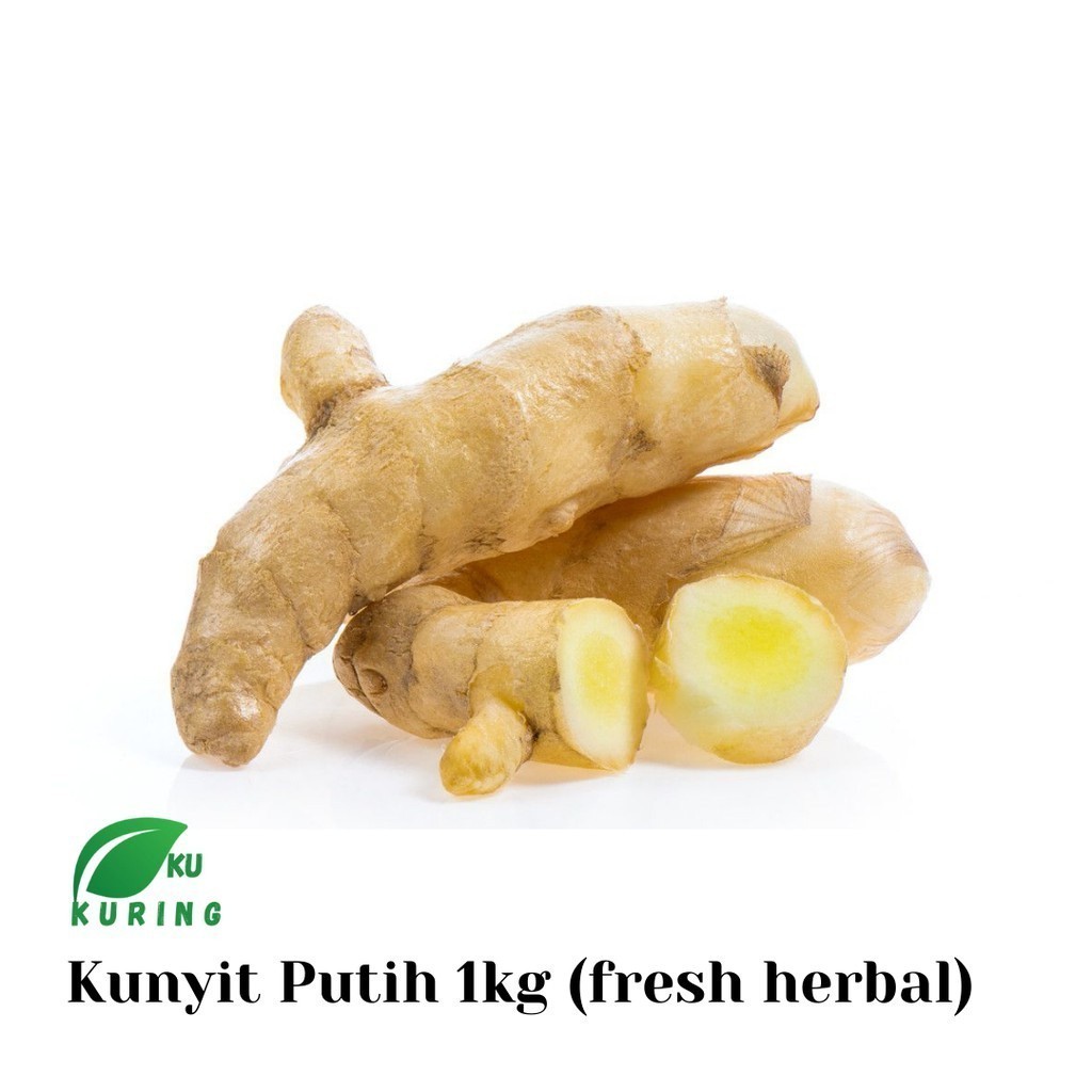 

selalu Promo kunyit putih segar 1kg Herbal COD